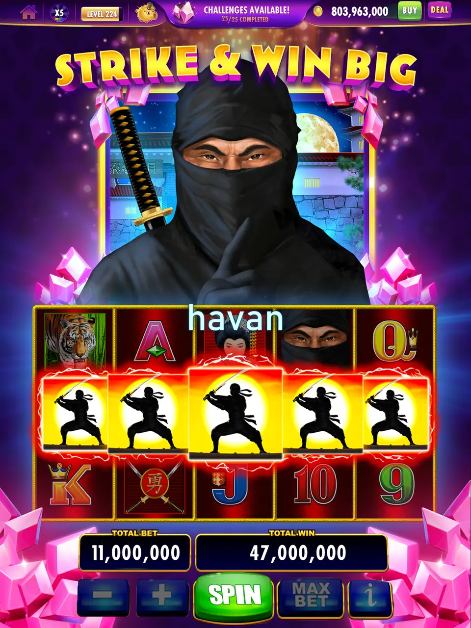 havan APK
