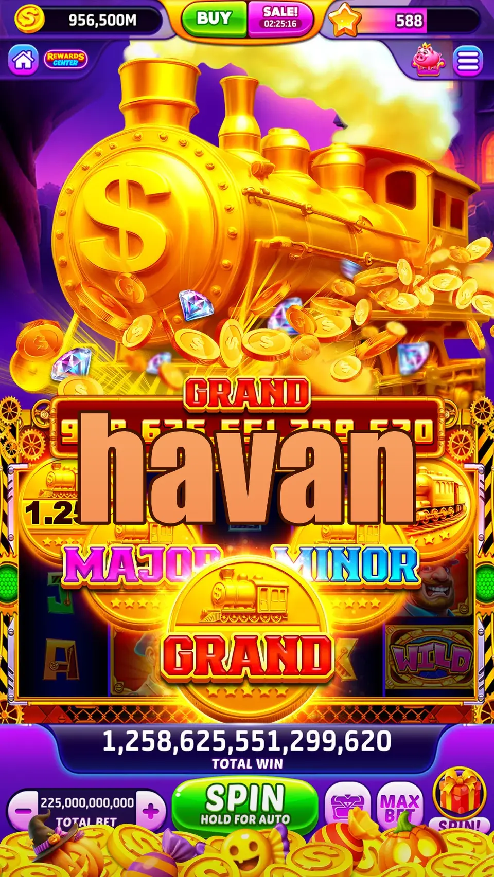 havan Login